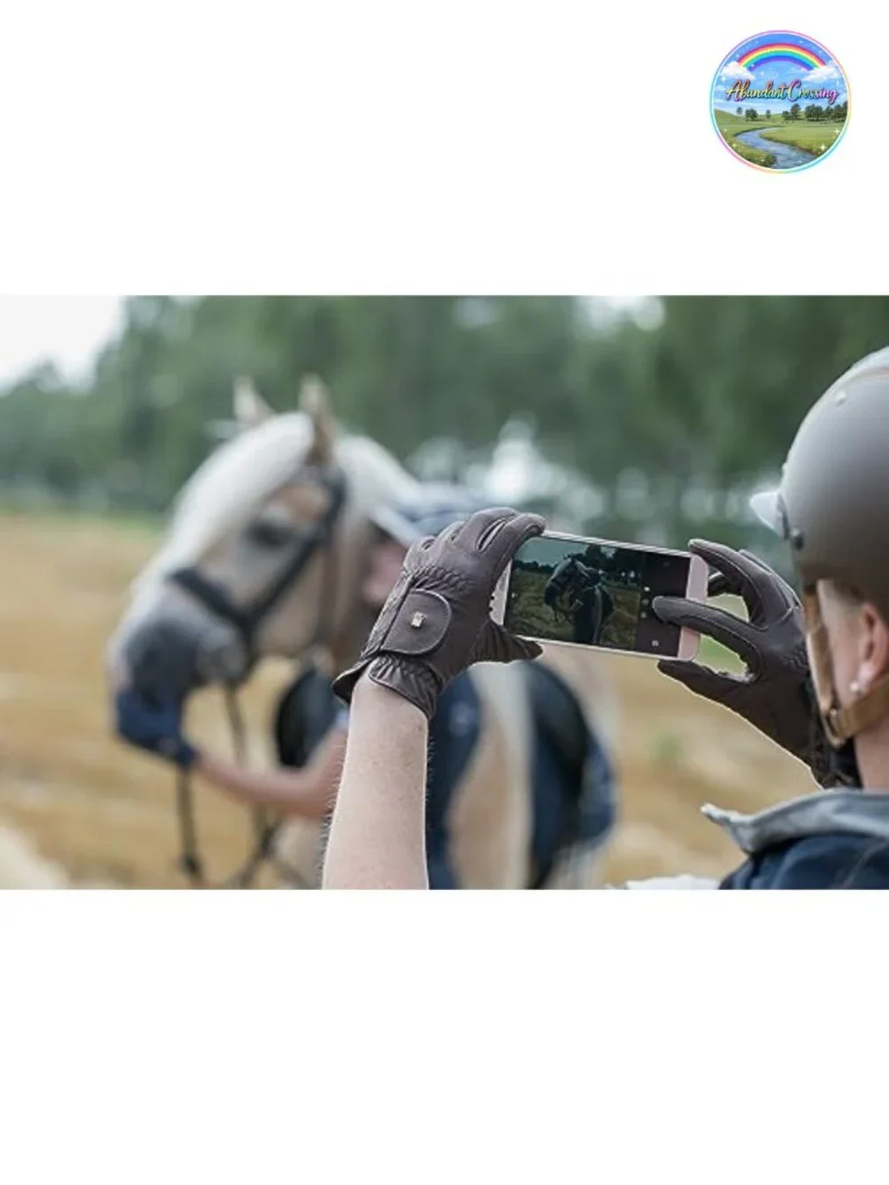 Equestrian Riding Gloves for Professional Riders